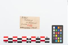 Etikett zu Bronzerippenkopfnadel (NHMW-PRAE-025615)